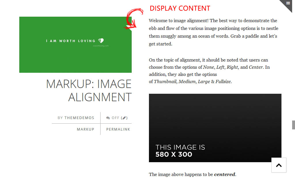 Blog displaying full content