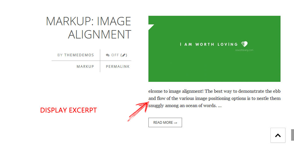 Blog displaying excerpt