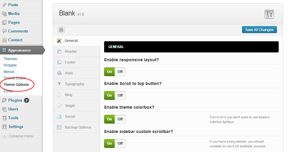 Blank Theme Options panel